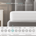 Visco Therapy5 Zone Memory Foam Mattress - Rest Relax