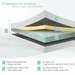 Visco Therapy7 Zone Memory Foam Mattress - Rest Relax